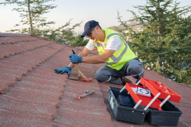 Best Roof Repair Services  in Strawberry Plains, TN